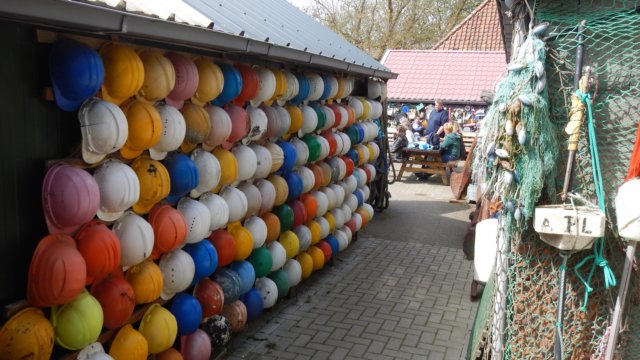 HWK Texel 2015 119.jpg